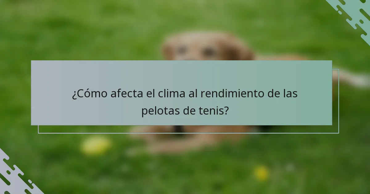 ¿Cómo afecta el clima al rendimiento de las pelotas de tenis?