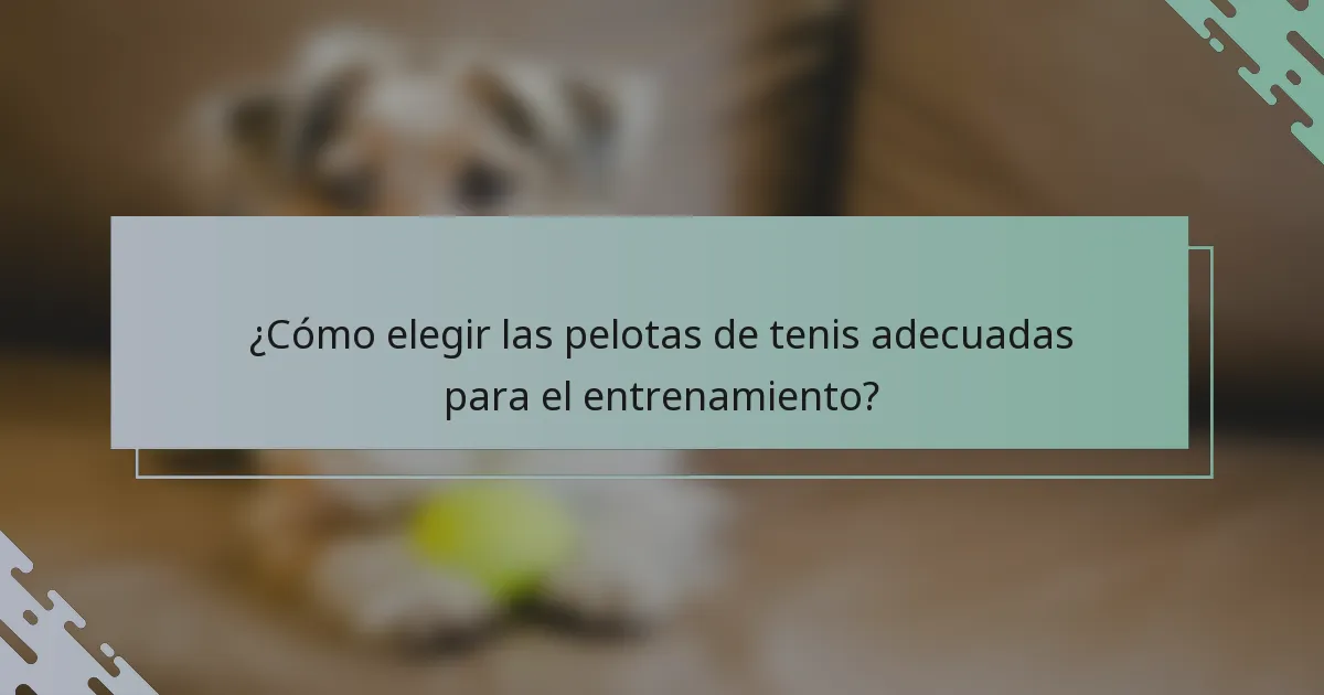 ¿Cómo elegir las pelotas de tenis adecuadas para el entrenamiento?