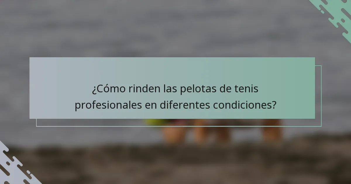 ¿Cómo rinden las pelotas de tenis profesionales en diferentes condiciones?