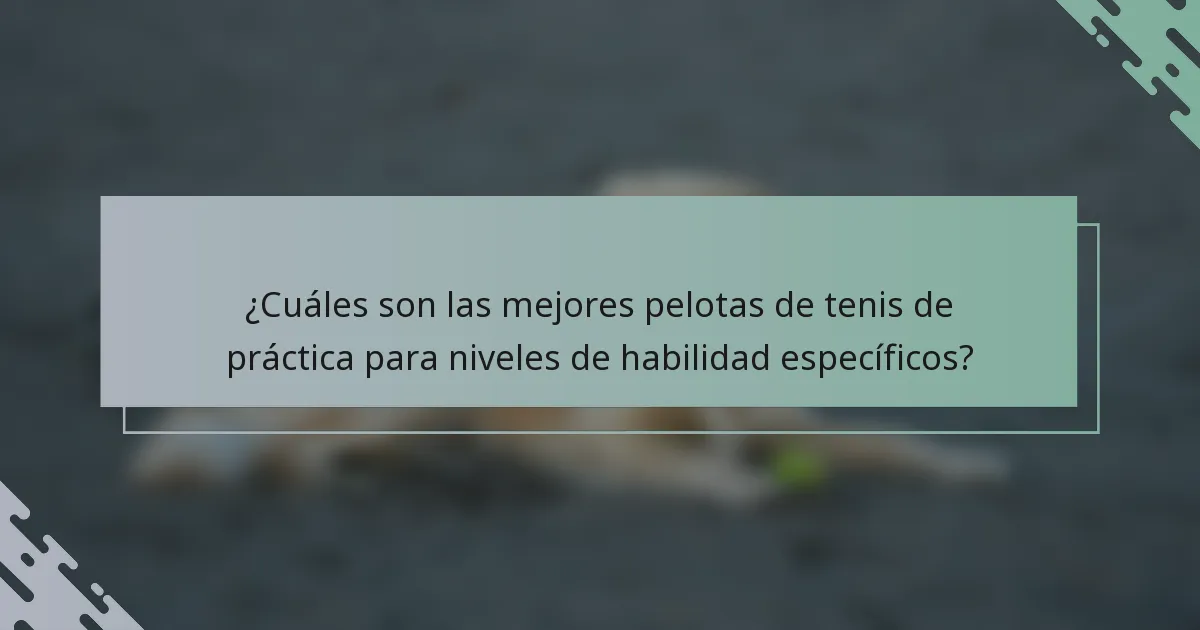 ¿Cuáles son las mejores pelotas de tenis de práctica para niveles de habilidad específicos?