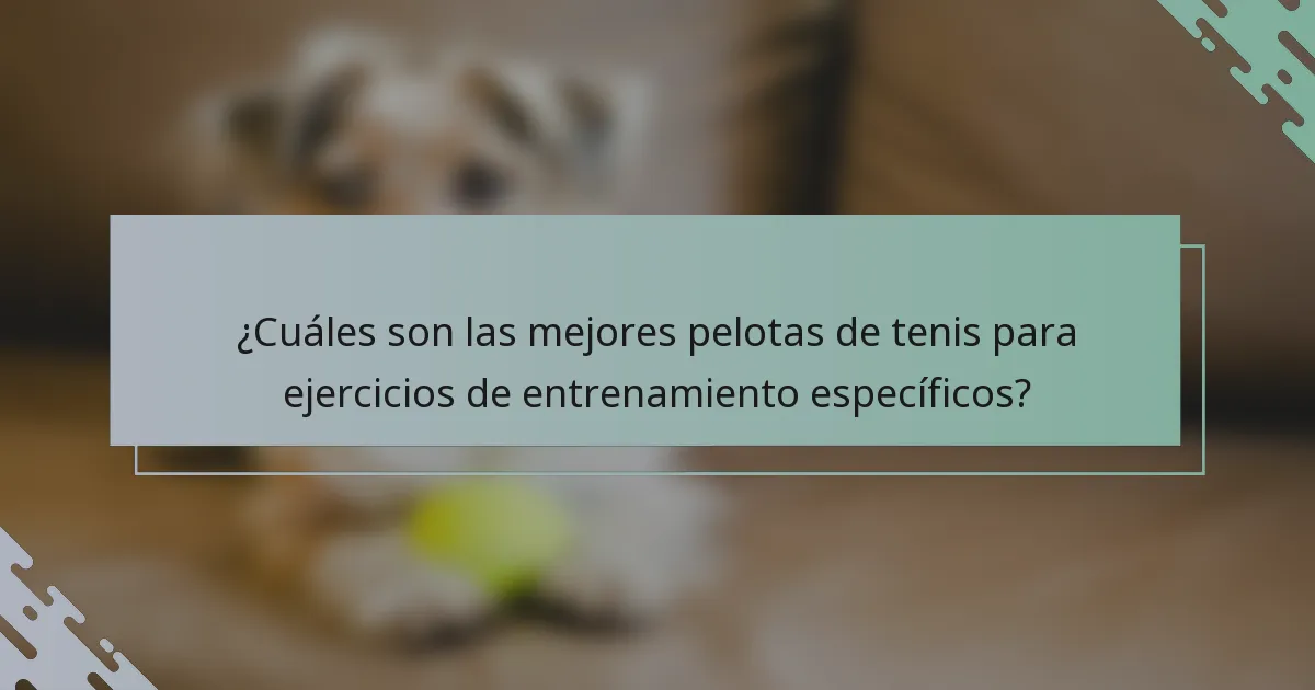 ¿Cuáles son las mejores pelotas de tenis para ejercicios de entrenamiento específicos?