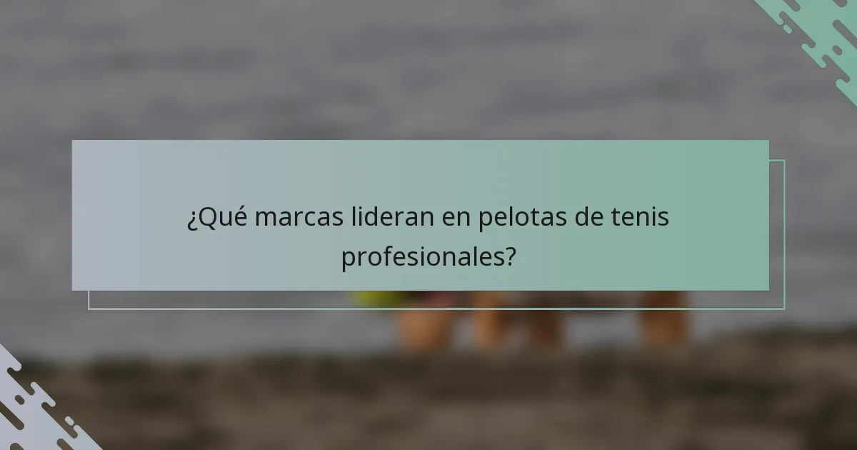 ¿Qué marcas lideran en pelotas de tenis profesionales?