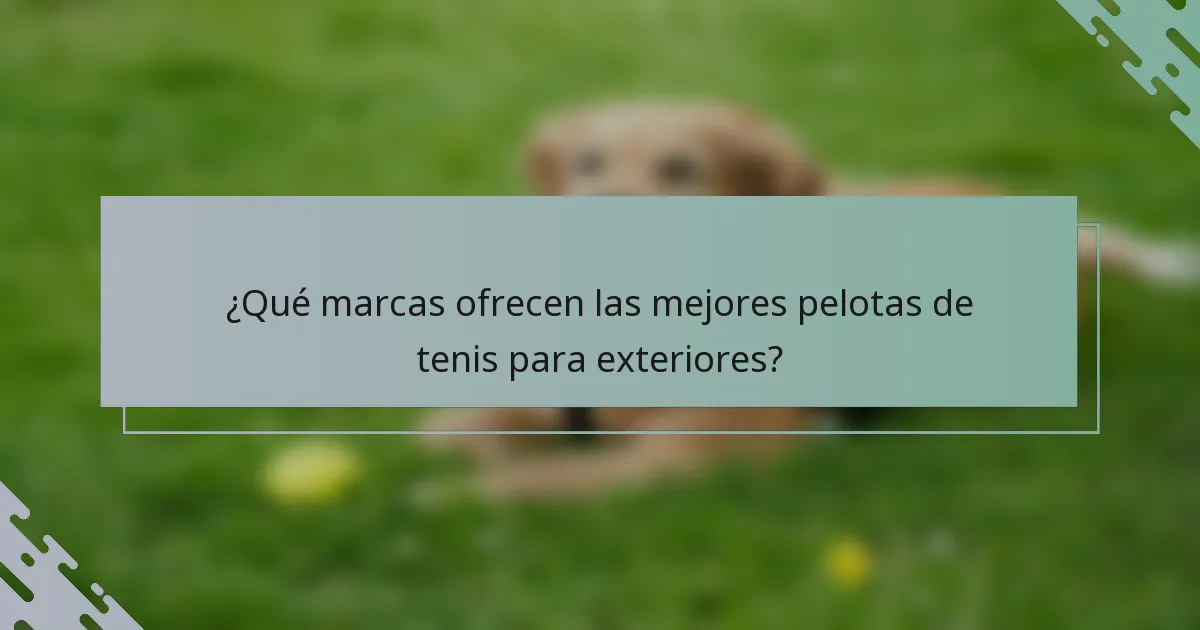 ¿Qué marcas ofrecen las mejores pelotas de tenis para exteriores?