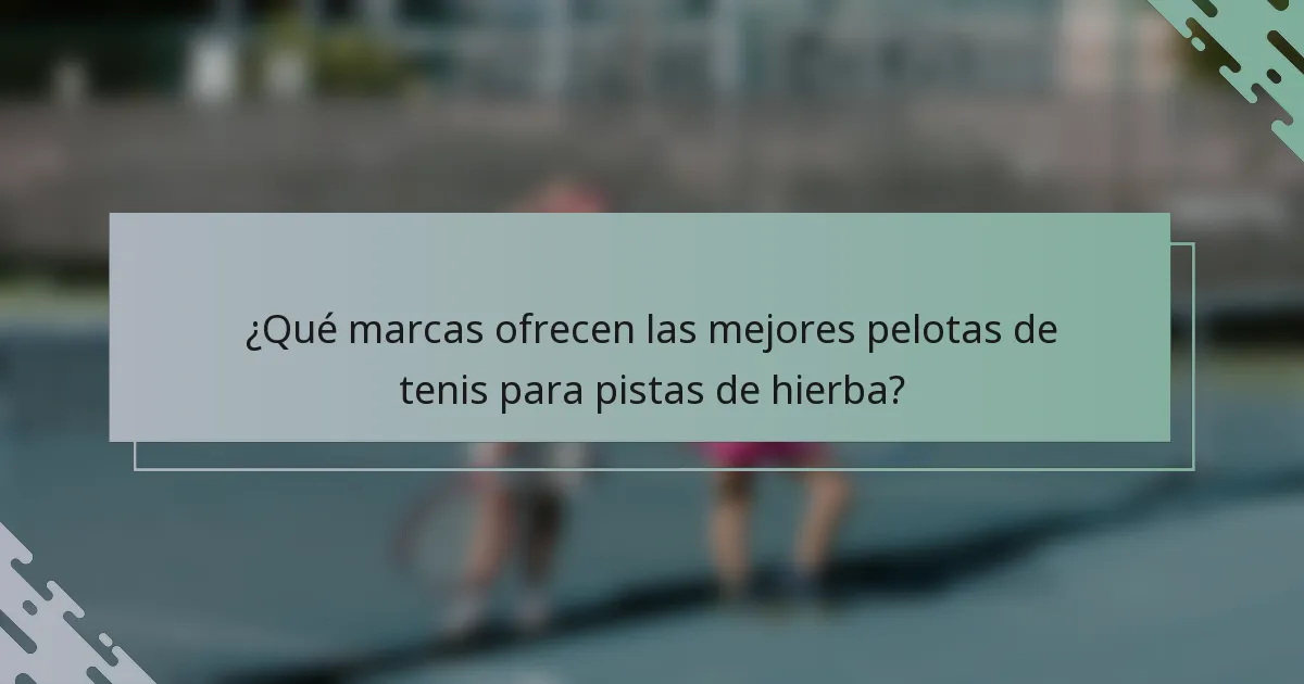 ¿Qué marcas ofrecen las mejores pelotas de tenis para pistas de hierba?