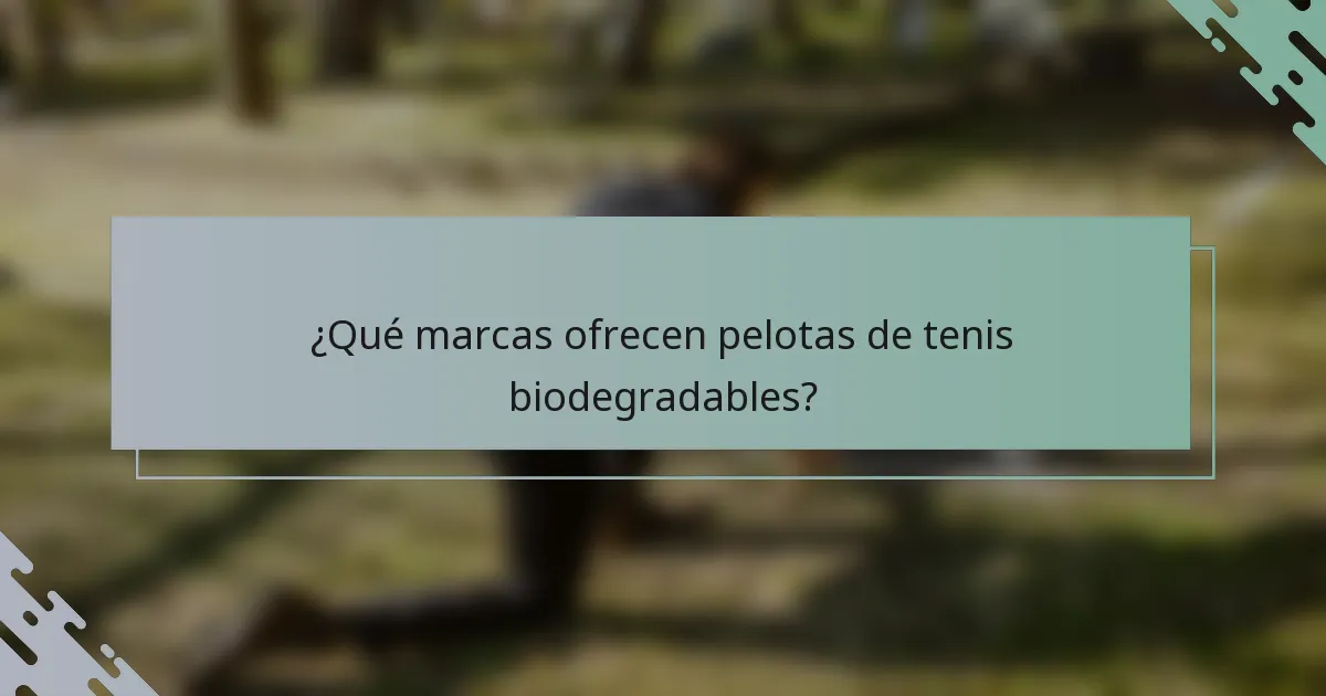 ¿Qué marcas ofrecen pelotas de tenis biodegradables?