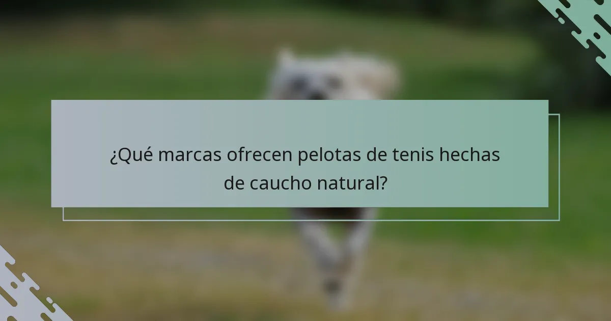 ¿Qué marcas ofrecen pelotas de tenis hechas de caucho natural?