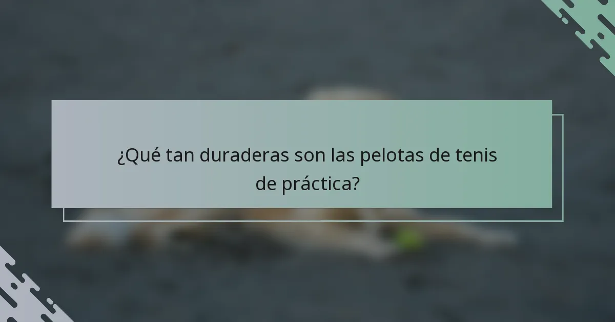 ¿Qué tan duraderas son las pelotas de tenis de práctica?